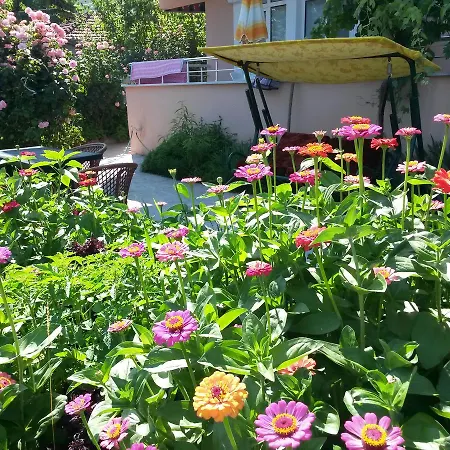 Ada Yaz Evleri *